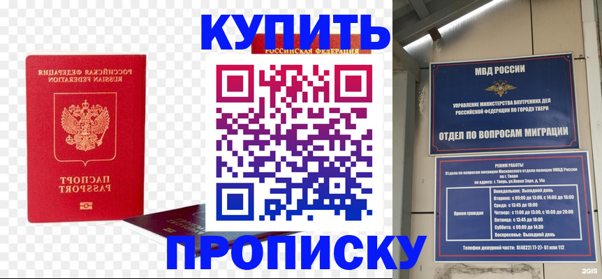 купить прописку в Пионерском